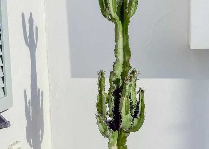 Sands Apartamento Lipsi